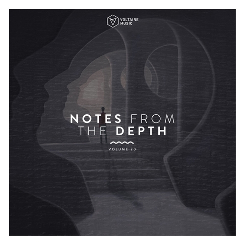 VA - Notes From The Depth Vol. 20